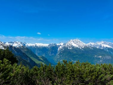 Kartal yuvası görüntülemek