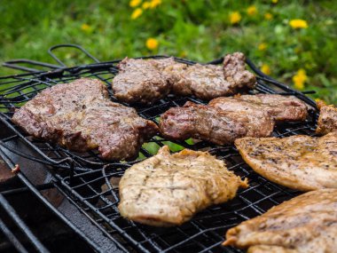 Mangalda mangal var.