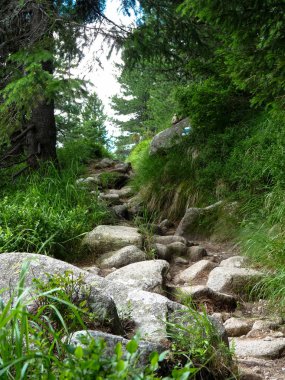 Dağ izi yüksek Tatras mountains, Slovakya için