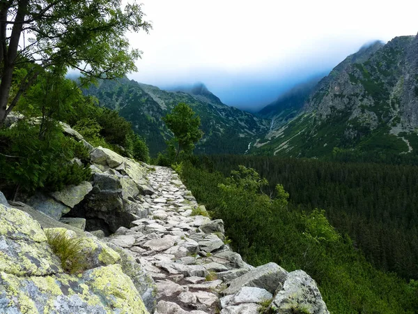 Skogsstig i Höga Tatrabergen, Slovakien — Stockfoto