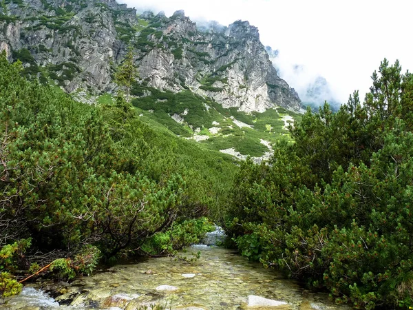 Górski potok w Wysokie Tatry, Słowacja — Zdjęcie stockowe