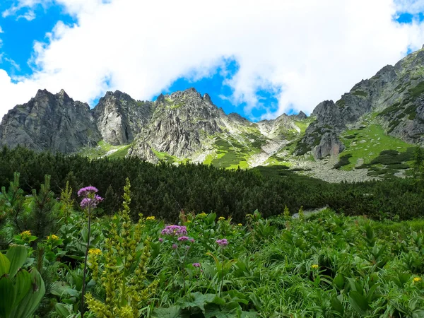 Ψηλά βουνά Tatras, Σλοβακία — Φωτογραφία Αρχείου