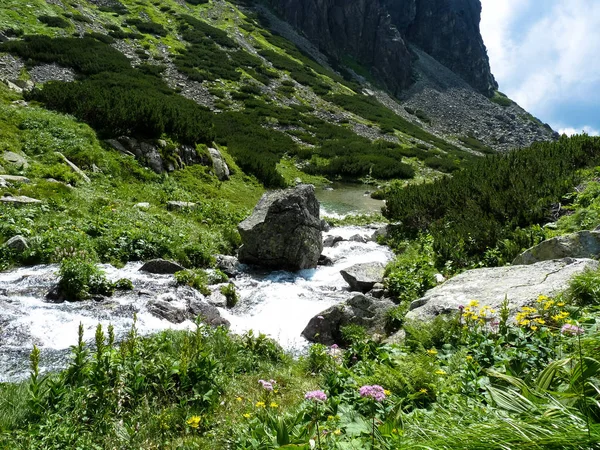 Górski potok w Wysokie Tatry, Słowacja — Zdjęcie stockowe