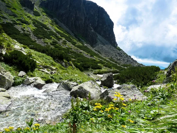 Gebirgsbach in der Hohen Tatra, Slowakei — Stockfoto