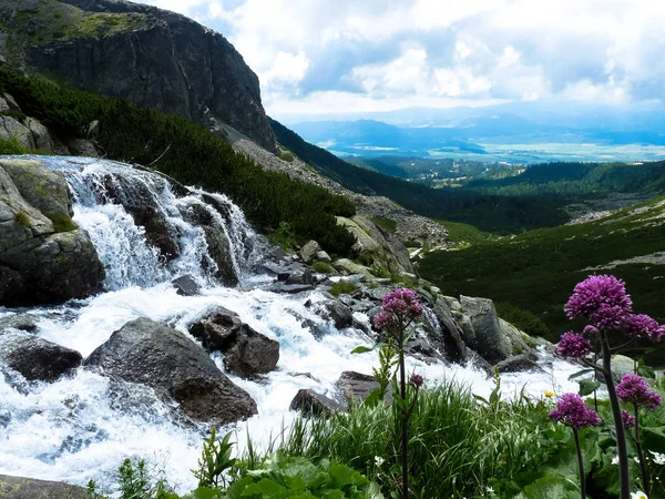 Górski potok w Wysokie Tatry, Słowacja — Zdjęcie stockowe