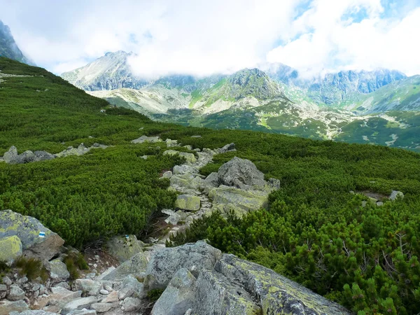 Sentier de montagne dans les montagnes des Hautes Tatras, Slovaquie — Photo