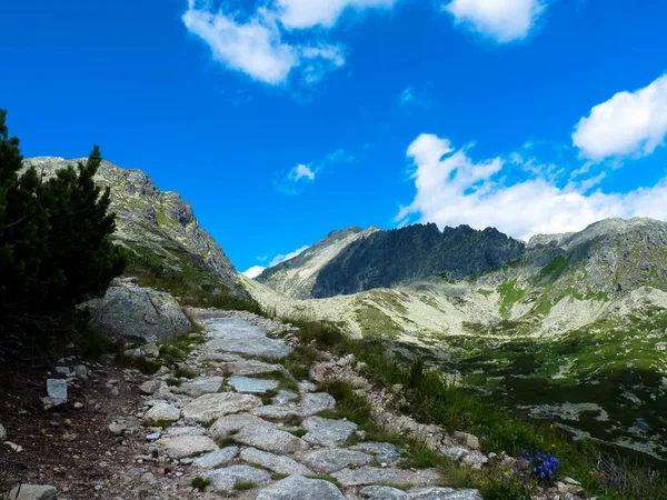Sentier de montagne dans les montagnes des Hautes Tatras, Slovaquie — Photo
