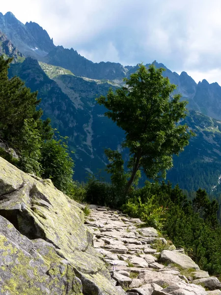 고가 Tatras 산맥 슬로바키아의 산길 — 스톡 사진