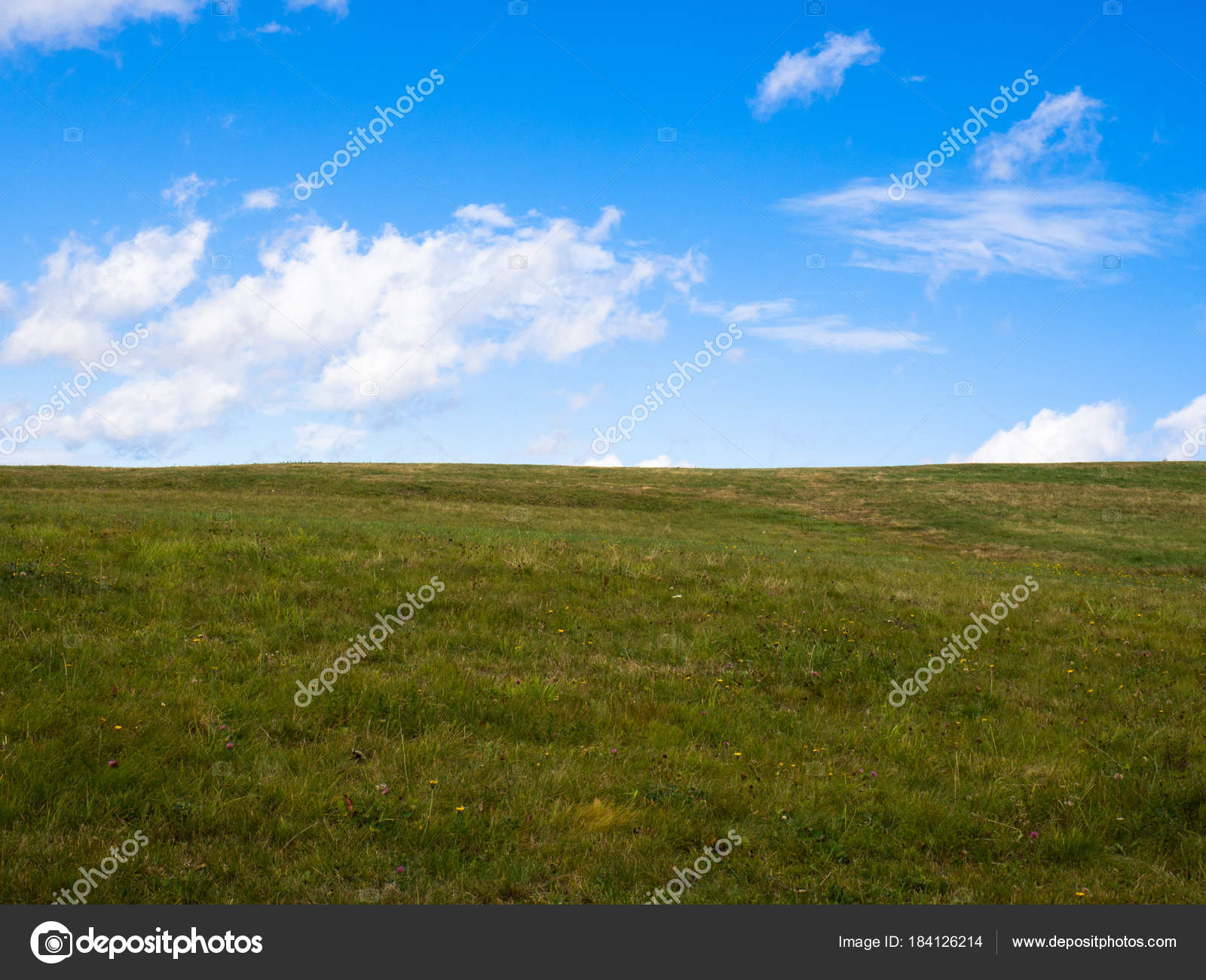 Prairie Verte Et Ciel Bleu Image Libre De Droit Par Sleepyhobbit Gmail Com C Prairie Verte Et Ciel Bleu Image Libre De Droit Par Sleepyhobbit Gmail Com C