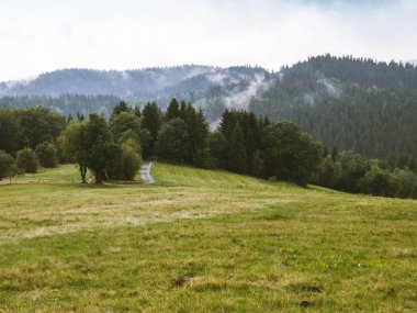 Beskid dağlar