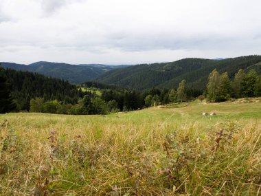 Beskid dağlar