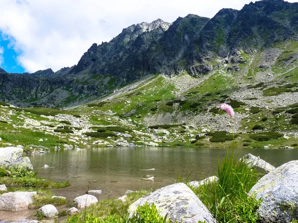 Sjön Pleso nad Skokom i Tatrabergen. — Stockfoto