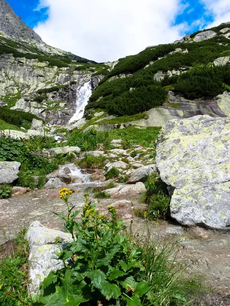 Wodospad Skok, Wysokie Tatry, Słowacja — Zdjęcie stockowe