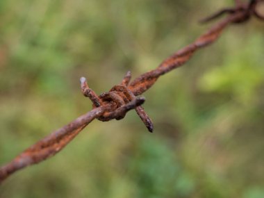 Eski paslı dikenli tel