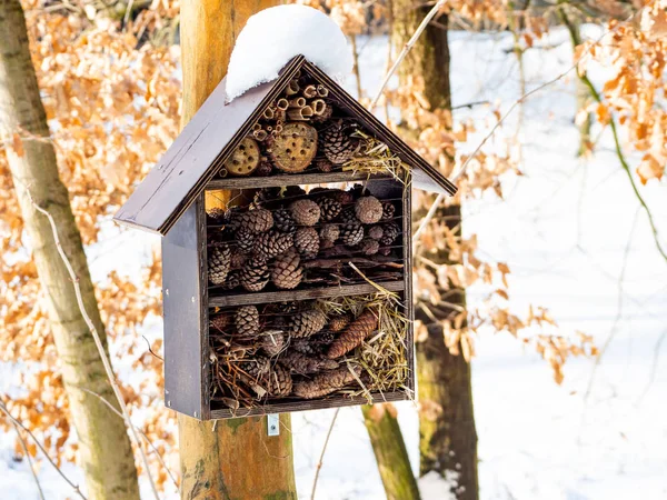 Insect hotel on tree in winter time — Stock Photo, Image