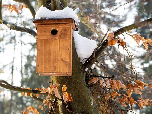 Casa degli uccelli su albero in inverno — Foto Stock