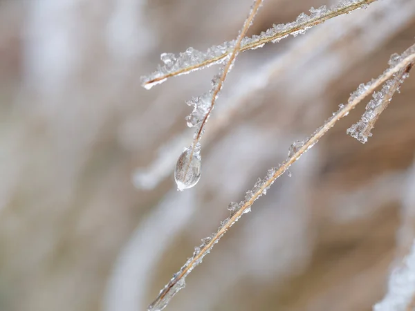 Dettaglio della goccia d'acqua ghiacciata sullo sfondo invernale — Foto Stock