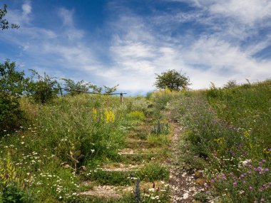 Pavlov Hills 'in güzel doğası, Çek Cumhuriyeti, yürüyüş tatili