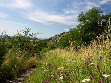 Pavlov Hills 'in güzel doğası, Çek Cumhuriyeti, yürüyüş tatili