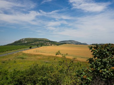 Pavlov Hills 'in güzel doğası, Stolova Dağı ve Devin, Çek Cumhuriyeti, yaz tatili