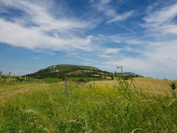 Pavlov Hills 'in güzel doğası, Stolova dağı, Çek Cumhuriyeti, yaz tatili