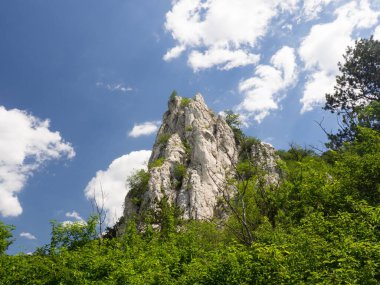 Palava Koruma Alanı, Güney Moravya, Çek Cumhuriyeti 'nde yaz mevsiminde kireçtaşı kütlesiyle manzara