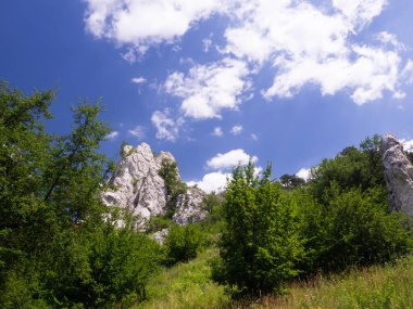 Palava Koruma Alanı, Güney Moravya, Çek Cumhuriyeti 'nde yaz mevsiminde kireçtaşı kütlesiyle manzara