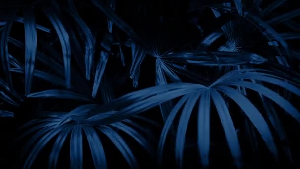 在夜晚的微风丛林蕨类植物 — 图库视频影像