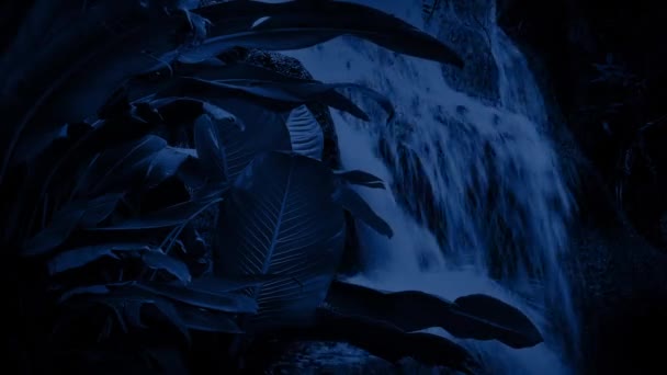 Waterfall In The Jungle At Night — Stock Video