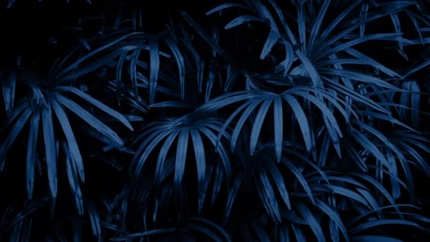 Jungle planten zwaaiend in de nacht — Stockvideo