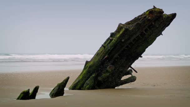 Old Shipwreck Sticking Out Of The Sand — Stock Video