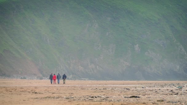 Personnes marchant sur la plage près des falaises — Video