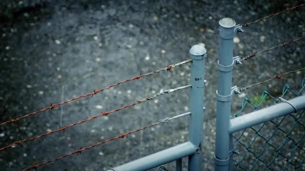 Barbed Wire Fence In Rainstorm — Stock Video