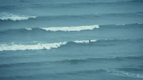 Les surfeurs attrapant des vagues en mer — Video