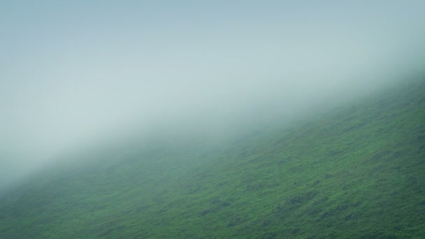 霧の移動上の山 — ストック動画
