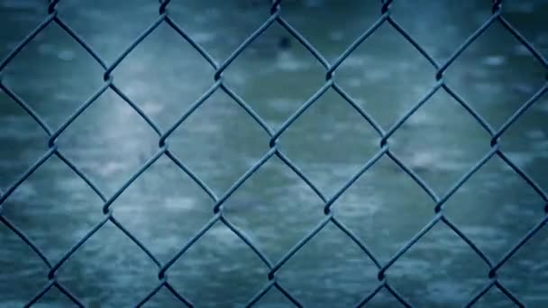 Die langs de draad hek In de regen — Stockvideo