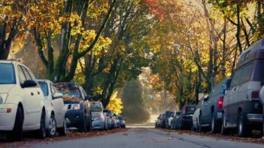 Ağaçlı yol kamyon geçen sonbaharda ile