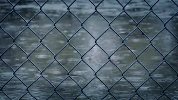 Wire Fence In Rainfall — Stock Video