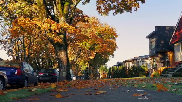 Suburbios en el otoño con hojas cubriendo el suelo — Vídeos de Stock