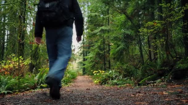 Mann mit Rucksack läuft auf Waldweg — Stockvideo