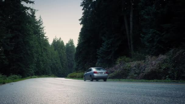 Αυτοκίνητο και Pickup πέρασμα σε δασικό δρόμο — Αρχείο Βίντεο