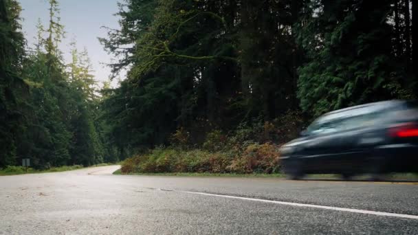 Carro dirige passado na estrada através de bosques — Vídeo de Stock