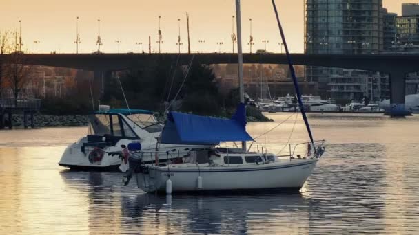 Yachten in der Bucht bei Sonnenuntergang — Stockvideo
