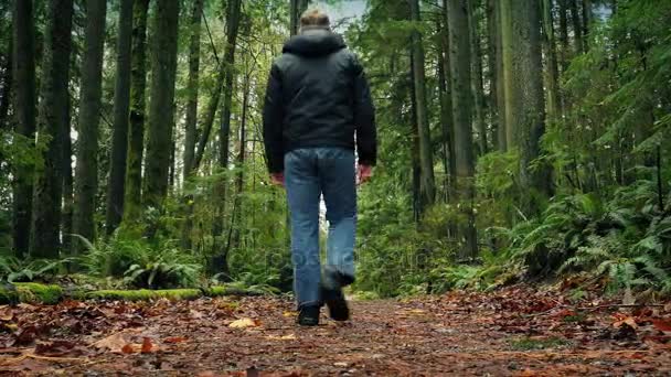 Man Walks On Path Through The Forest — Stok Video
