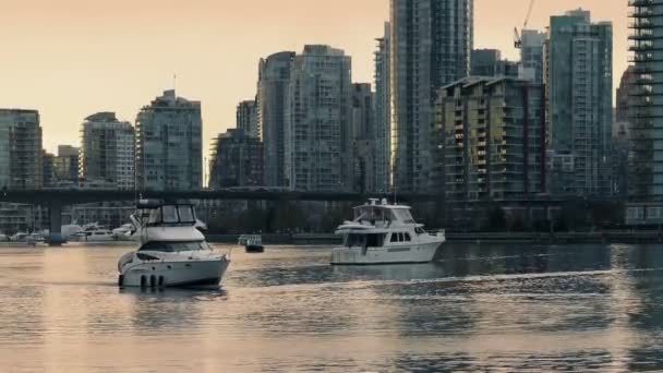 Yacht Sailing In Marina In The Evening — Stock Video