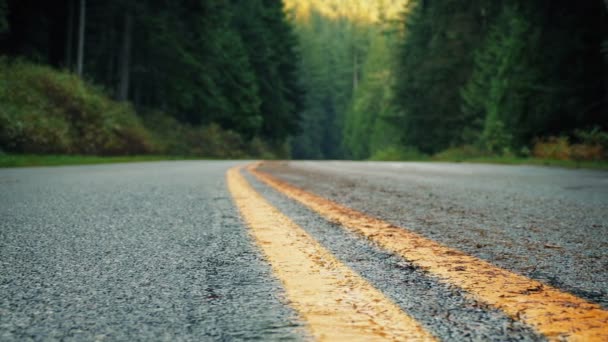 Se déplacer sur la route à travers la forêt — Video