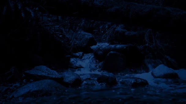 Passé un ruisseau forestier La nuit — Video