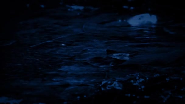 Piscine forestière peu profonde sous la pluie la nuit 