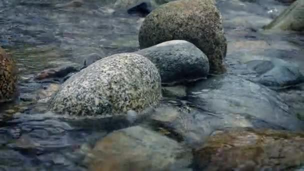Bergerak sepanjang Sungai Rocky — Stok Video