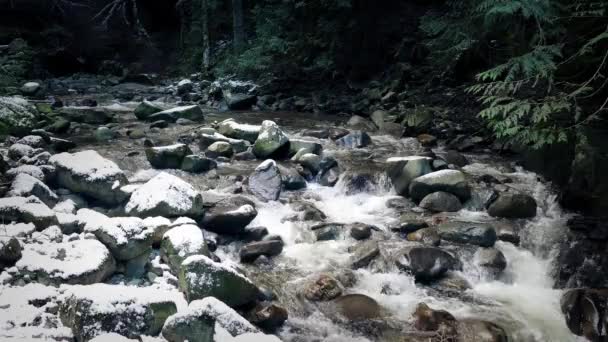 Floden efter snöfall i skogen. — Stockvideo